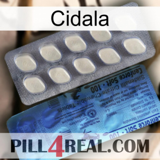 Cidala 34